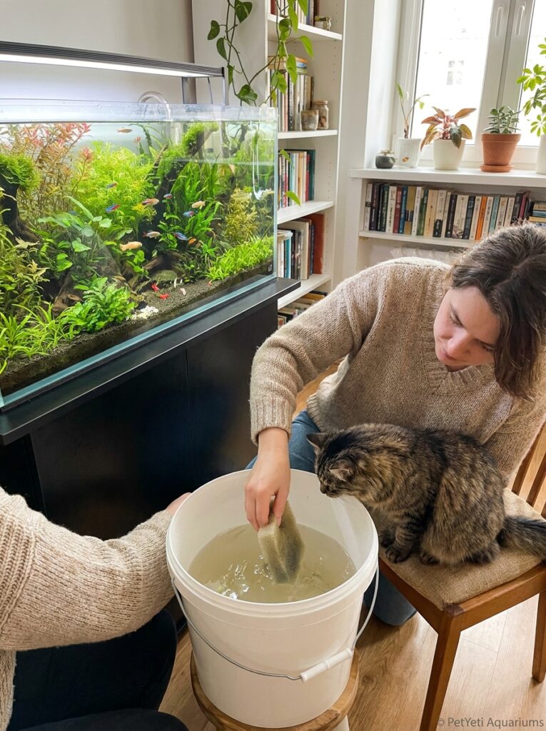 Aquarium filter maintenance being performed safely to preserve beneficial bacteria.