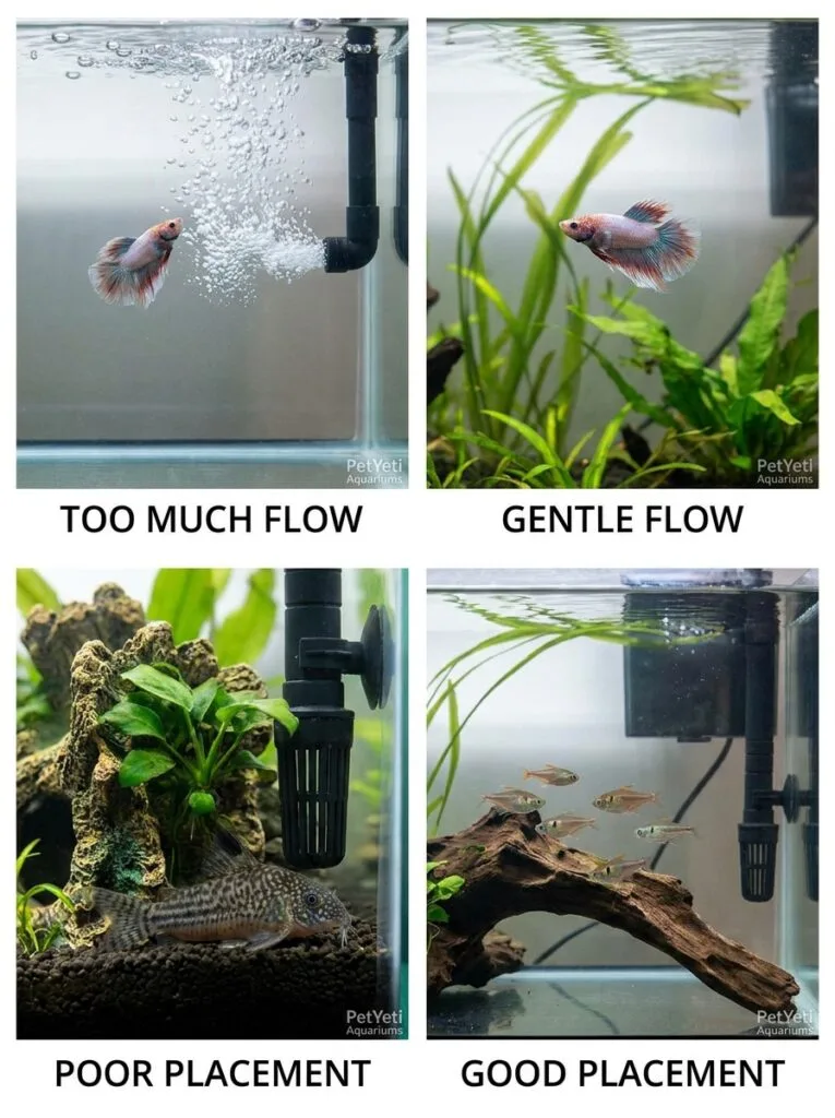 Examples of proper and improper aquarium air stone use.